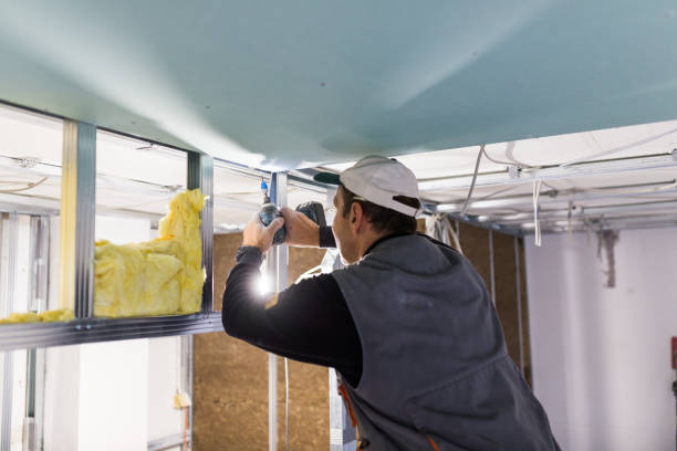 Best Energy Efficiency Solutions in Nicholson, GA