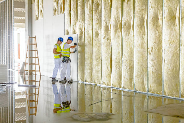 Best Types of Insulation in Nicholson, GA